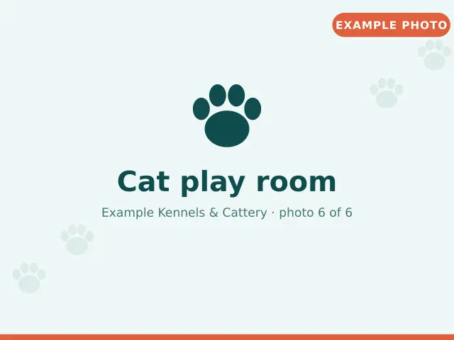 Cat play room (example photo)