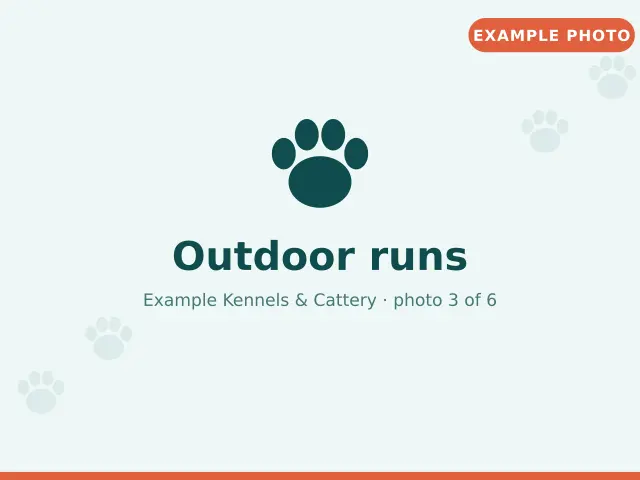 Outdoor runs (example photo)
