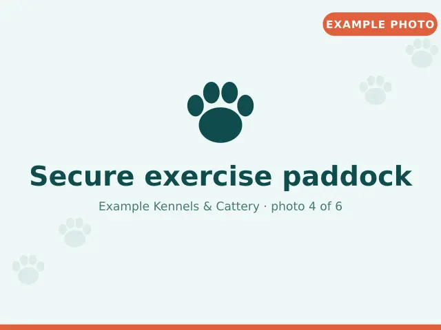Secure exercise paddock (example photo)